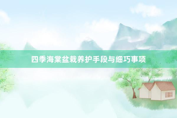四季海棠盆栽养护手段与细巧事项